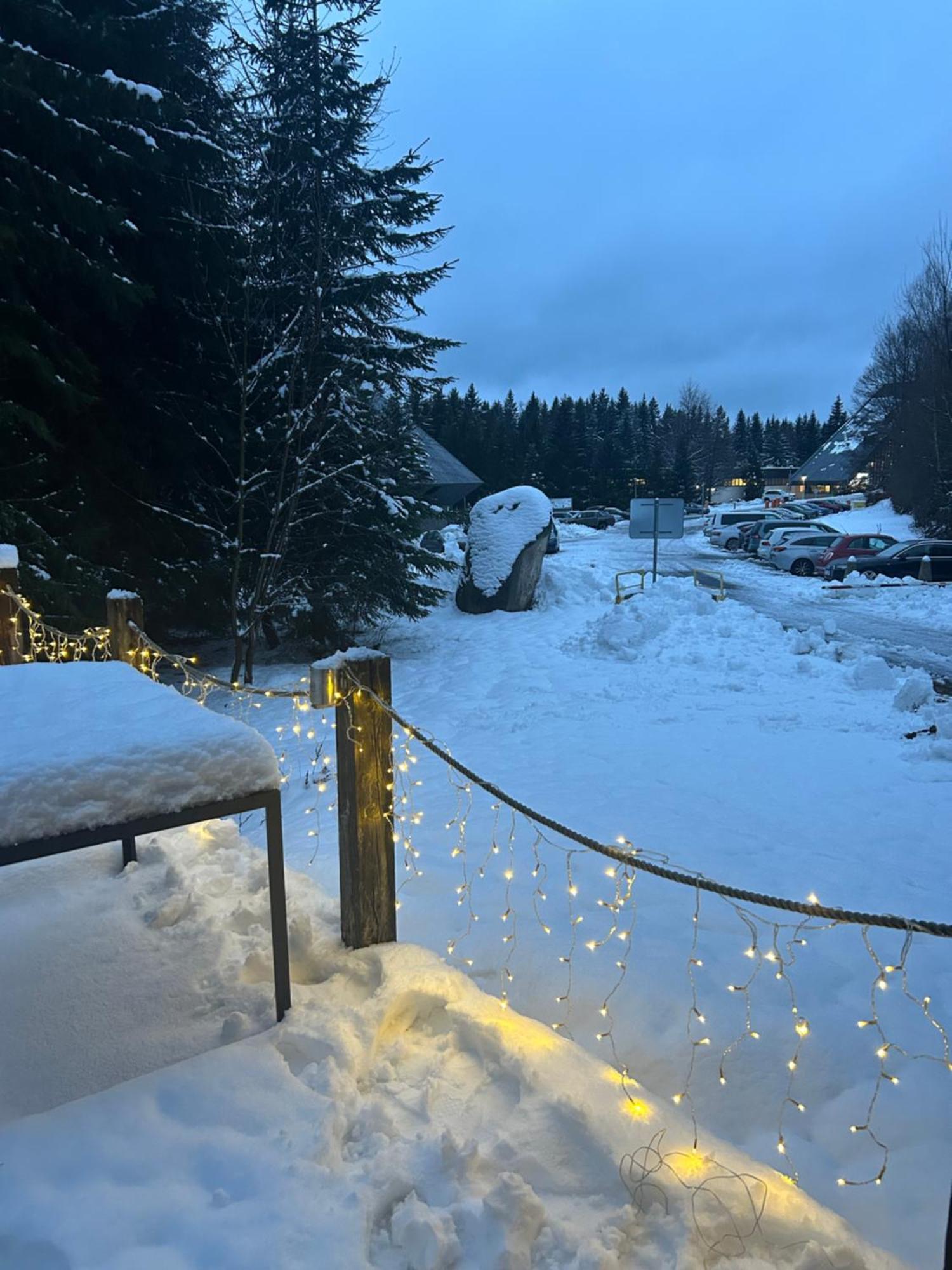 Horsky Chalet هاراشوف المظهر الخارجي الصورة